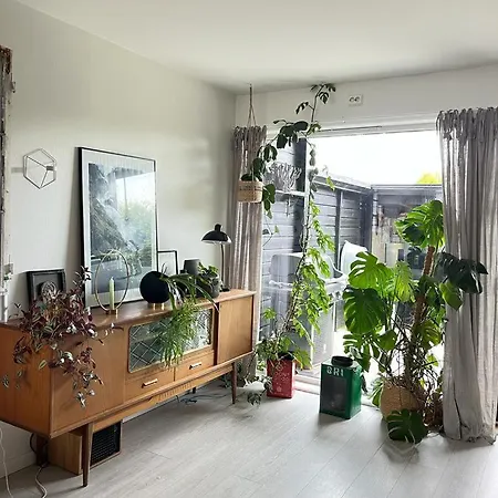Charming, Spacious Family Near Center *