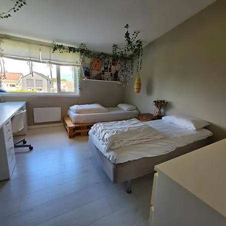 Charming, Spacious Family Near Center 스타방에르
